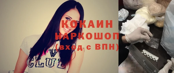 шишки Волоколамск