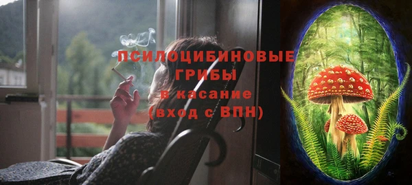 шишки Волоколамск