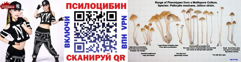 Псилоцибиновые грибы мухоморы  купить закладку  Карабаново 